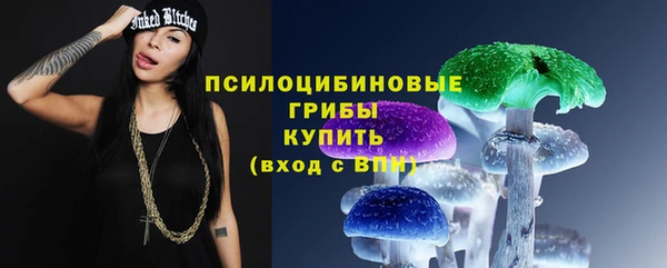 кокаин Белокуриха